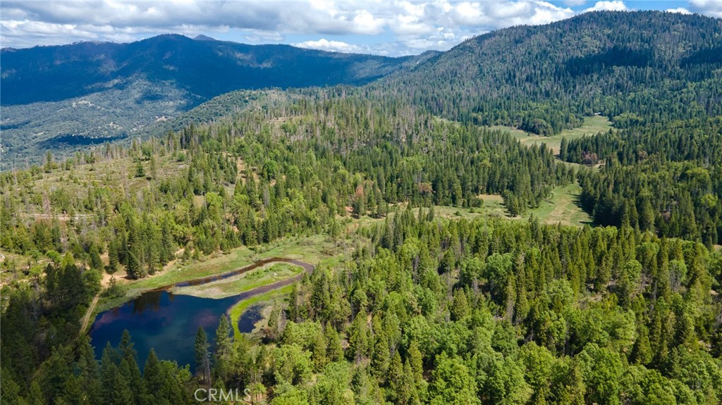5657 Worman Road Ahwahnee, CA 93601 - Photo 42 of 46 a view of a lush green forest with lots of trees