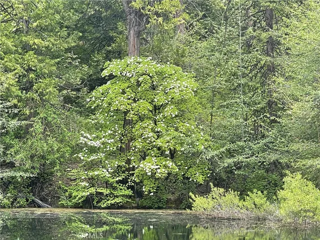 $3,750,000 | 5657 Worman Road, Ahwahnee, CA 93601