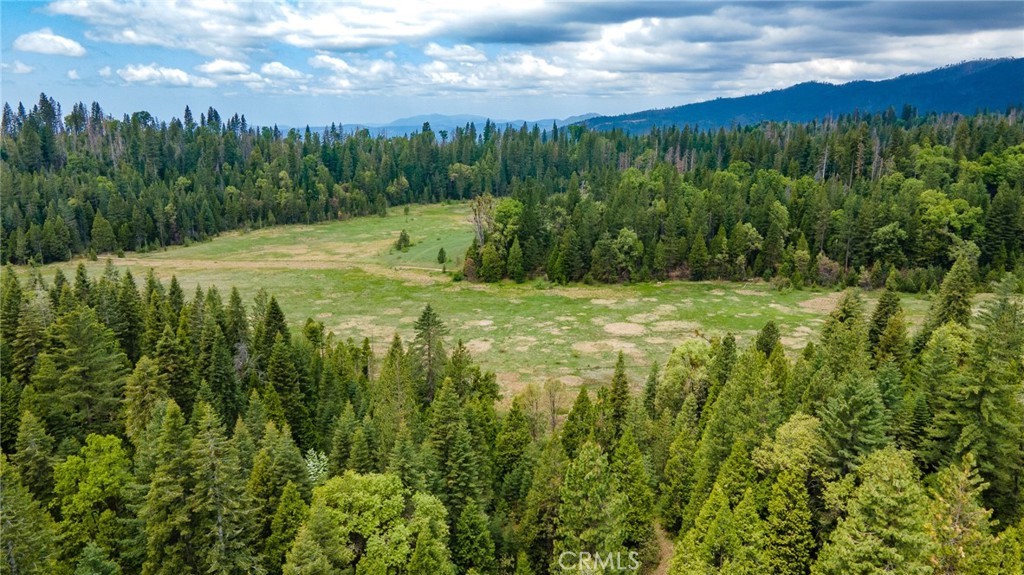 5657 Worman Road Ahwahnee, CA 93601 - Photo 6 of 46 a view of a green yard with large trees