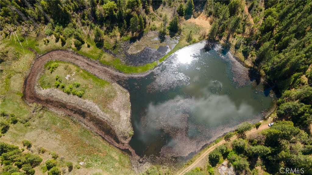 5657 Worman Road Ahwahnee, CA 93601 - Photo 7 of 46 a view of a yard
