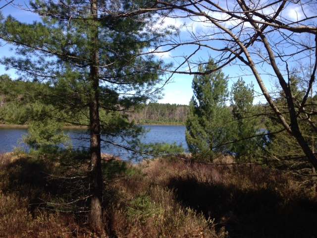 On Pickerel Lake Road Eagle River, WI 54521 - Photo 1 of 12 Gallery Image 1