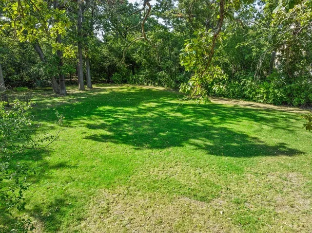 a big yard with lots of green space and deers