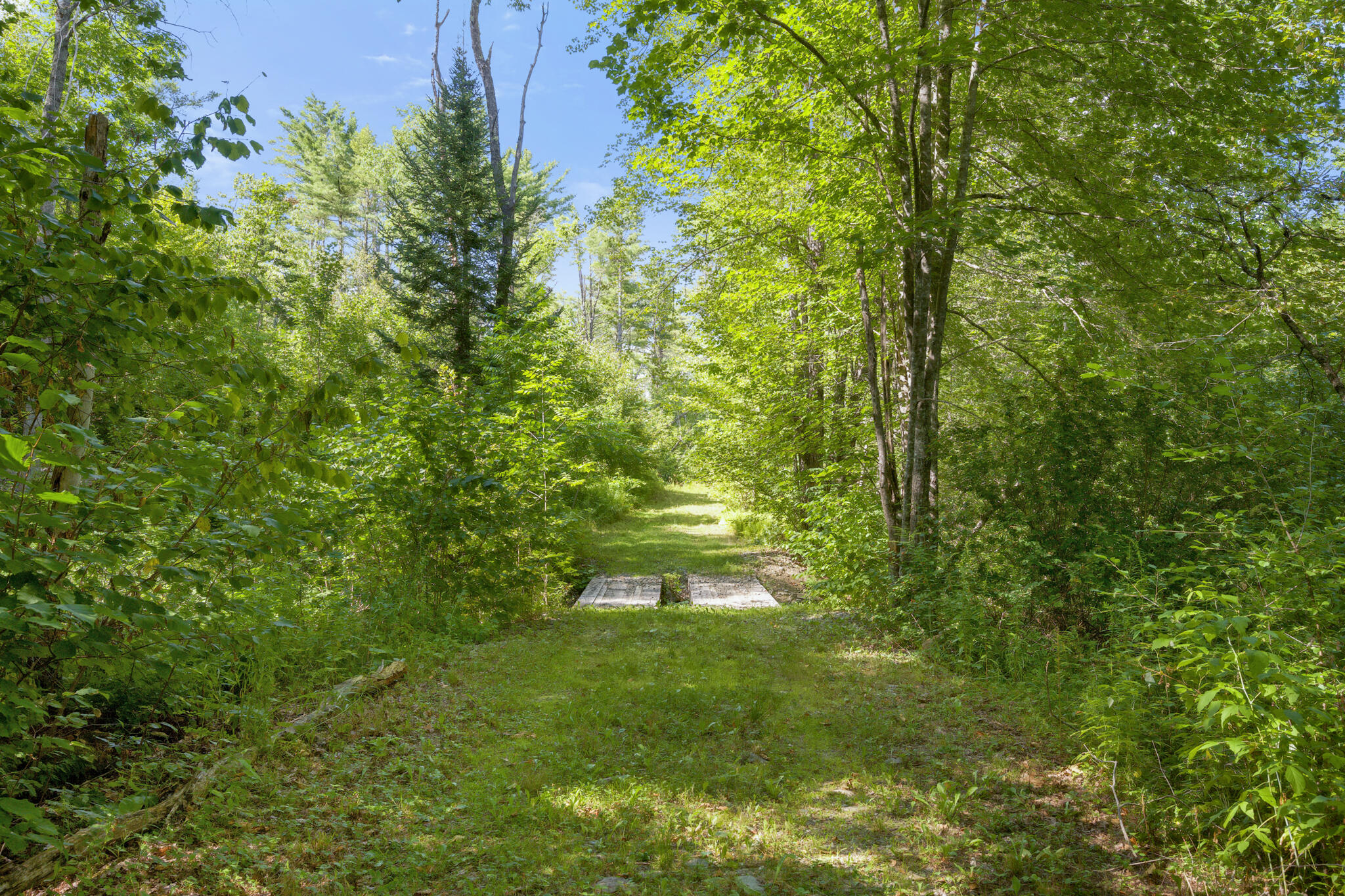 Map1-lot41 Partridge Road Hampden, ME 04444 - Photo 17 of 18 DSC_1983