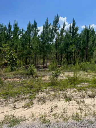 $22,900 | 1 B Brunson Teal Road, Unit BFF 1B, Patrick, SC 29584
