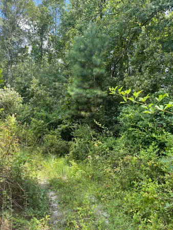 $22,900 | 1 B Brunson Teal Road, Unit BFF 1B, Patrick, SC 29584