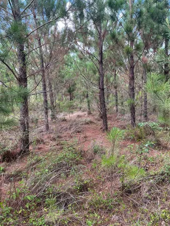 $22,900 | 1 B Brunson Teal Road, Unit BFF 1B, Patrick, SC 29584