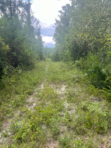 $22,900 | 1 B Brunson Teal Road, Unit BFF 1B, Patrick, SC 29584