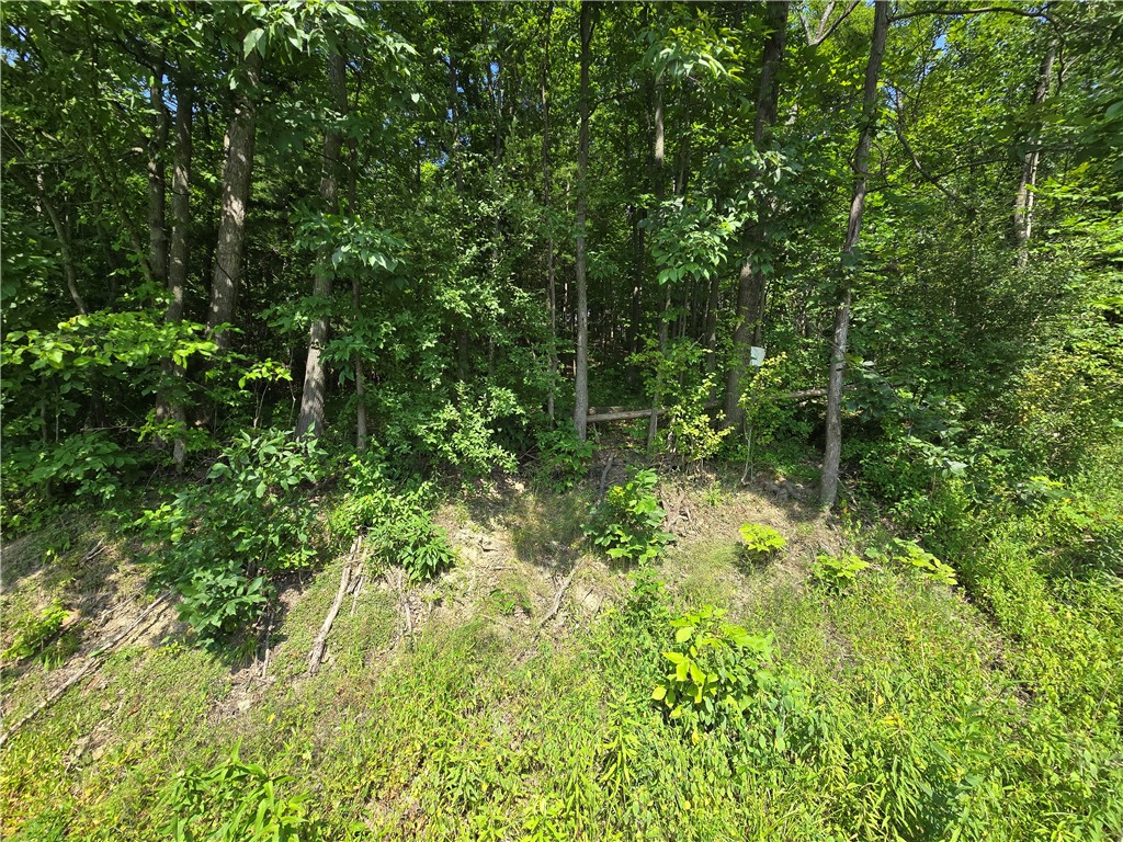0 Warren Road Middlesex, NY 14507 - Photo 1 of 1