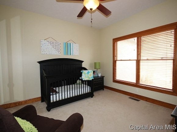 2700 Newcastle Court Springfield, IL 62711 - Photo 11 of 24 Gallery Image 11