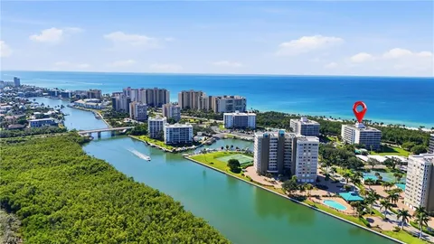 a view of a city with flower in a background