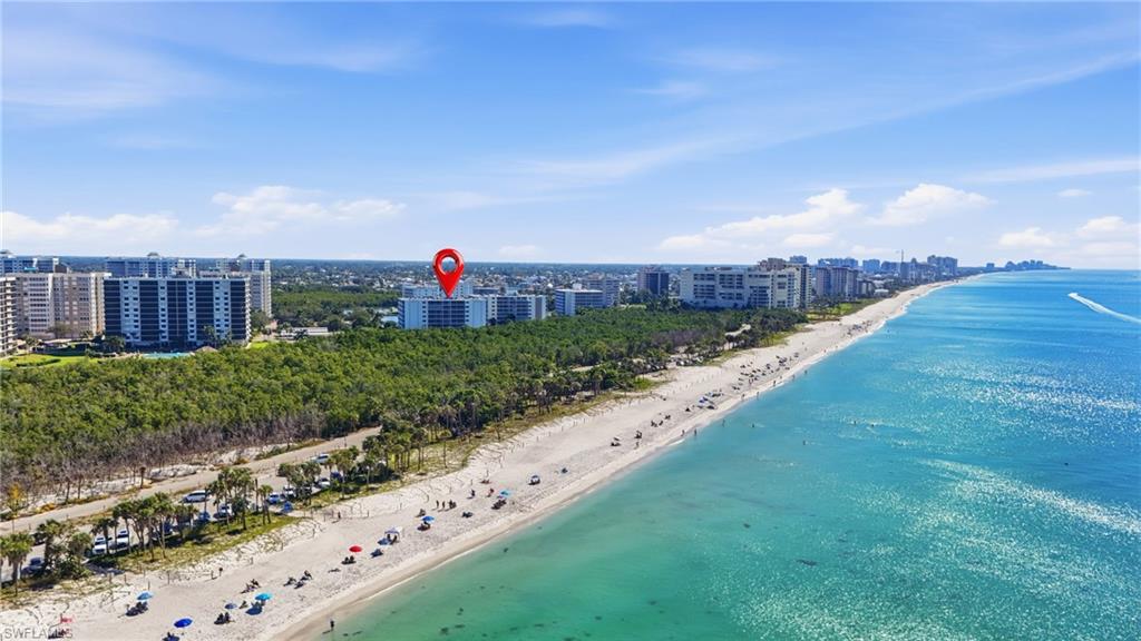 5 Bluebill Avenue, Unit 301 Naples, FL 34108 - Photo 3 of 48 a view of a city with flower in a background