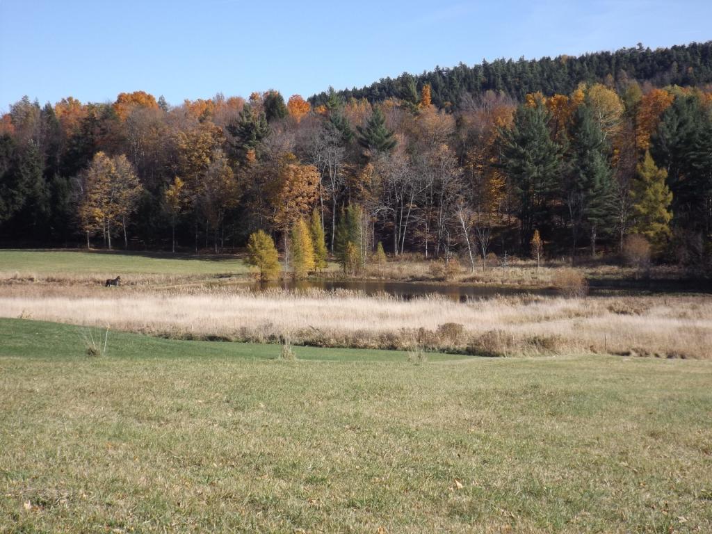Lot 1 Messier Road Franklin, VT 05457 - Photo 6 of 11