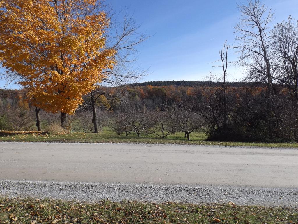 Lot 1 Messier Road Franklin, VT 05457 - Photo 10 of 11