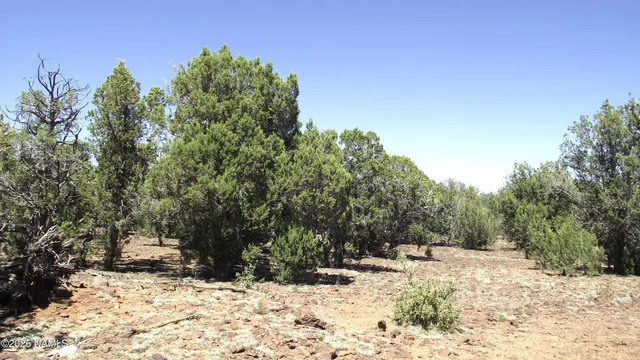 a view of a covered with snow in the yard