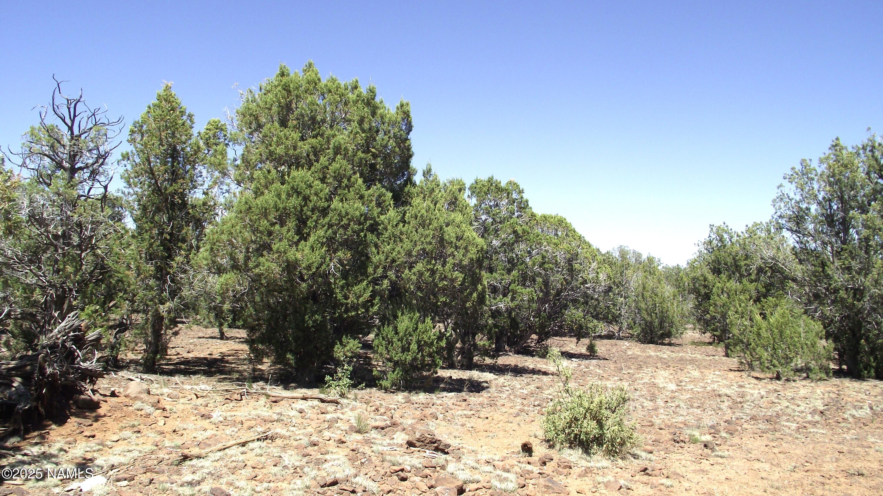 552 Stone Lake Boulevard Williams, AZ 86046 - Photo 12 of 13 DSCF6999