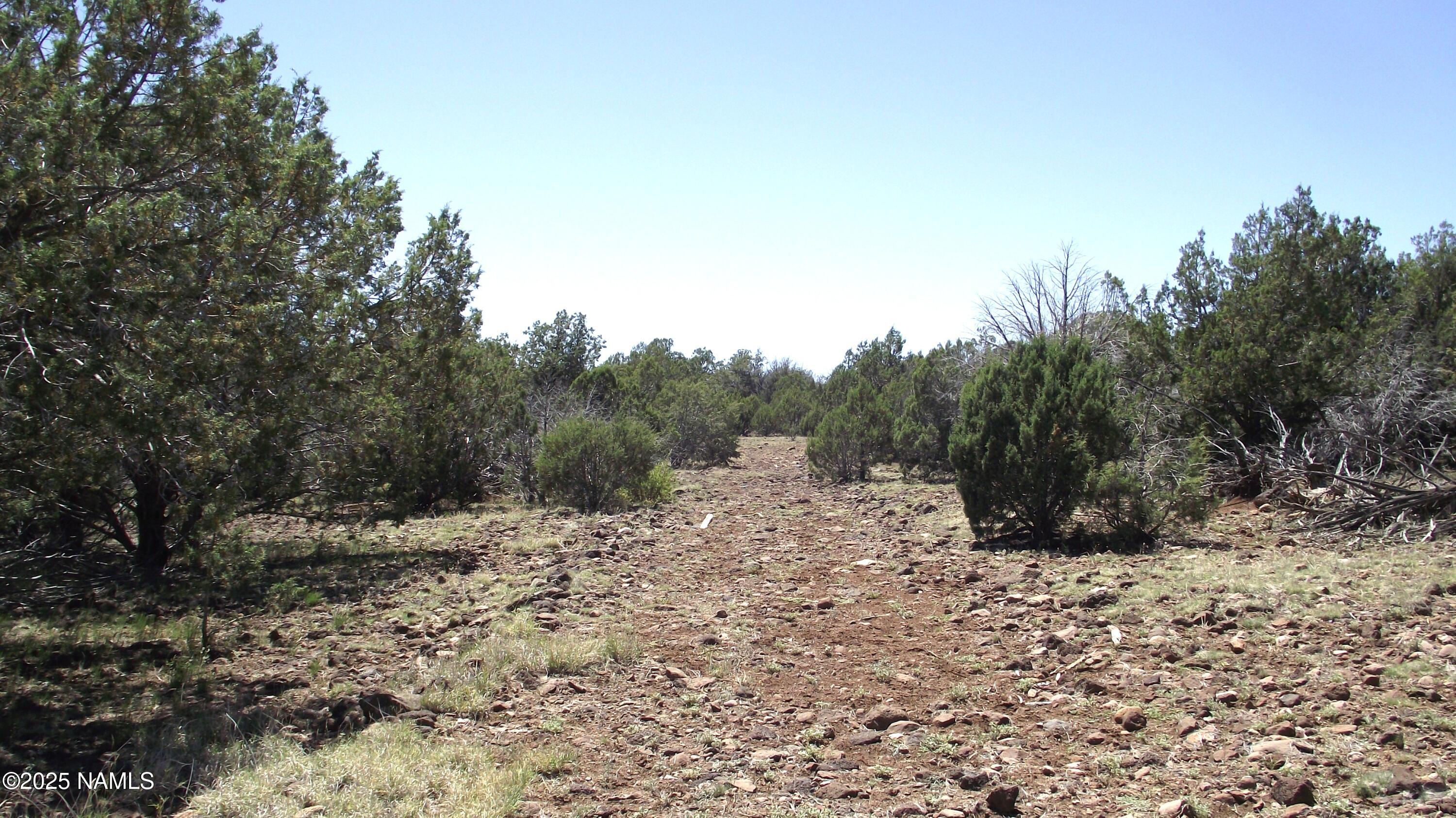 552 Stone Lake Boulevard Williams, AZ 86046 - Photo 3 of 13 DSCF6984