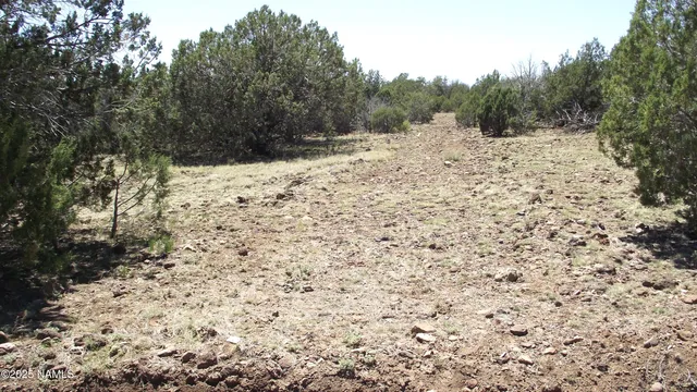 a view of a covered with snow on the side of the road