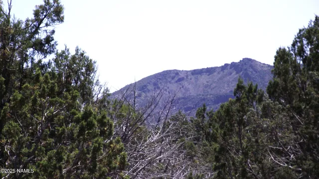 a view of a house with a mountain in the background