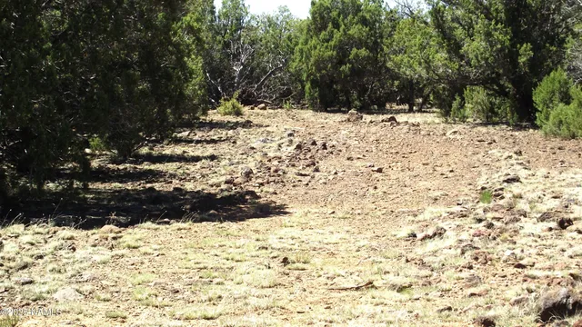 a view of a yard covered in snow