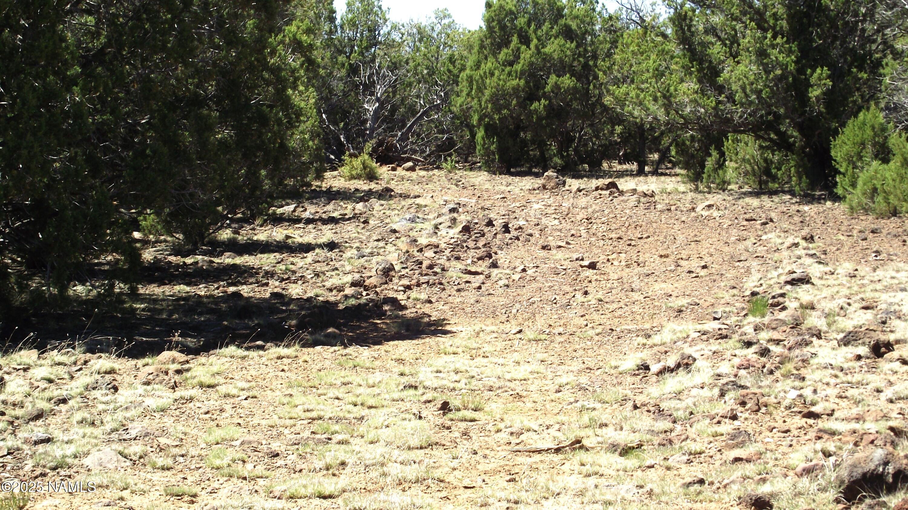 552 Stone Lake Boulevard Williams, AZ 86046 - Photo 7 of 13 DSCF6993