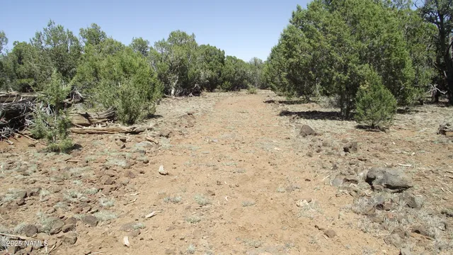 a view of a covered with trees in the background