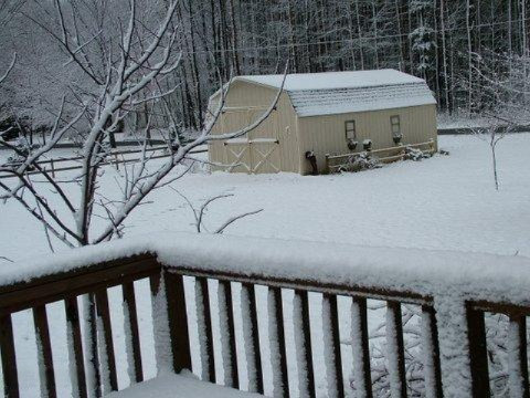 9024 Whitbeck Road Montague, MI 49437 - Photo 27 of 35 DSCF0982