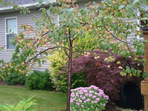 9024 Whitbeck Road Montague, MI 49437 - Photo 33 of 35 DSCF1133-001