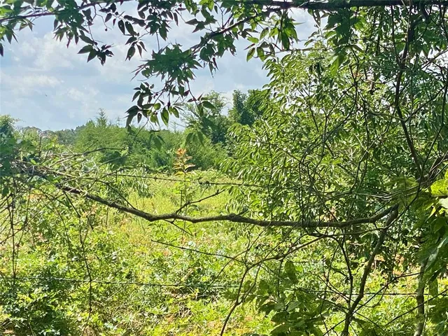 a view of a plant in a garden