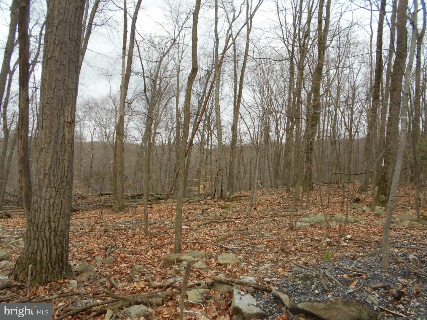 6840 Angora Road Reading, PA 19606 - Photo 6 of 9