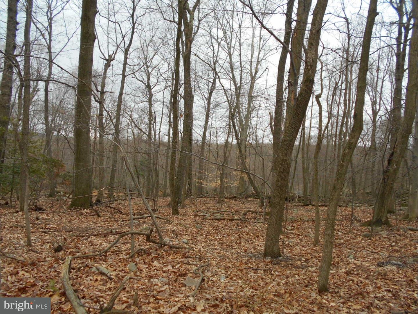 6840 Angora Road Reading, PA 19606 - Photo 7 of 9