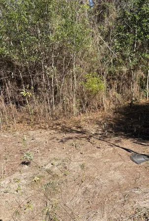 a view of wooden fence and trees