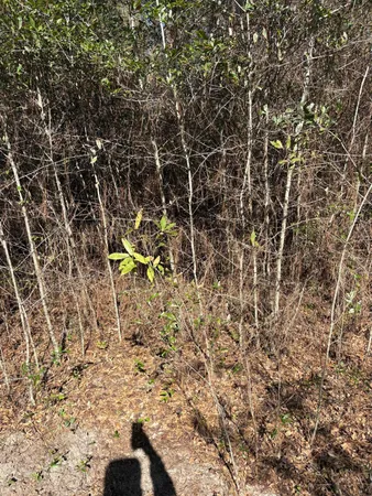 a view of an outdoor space