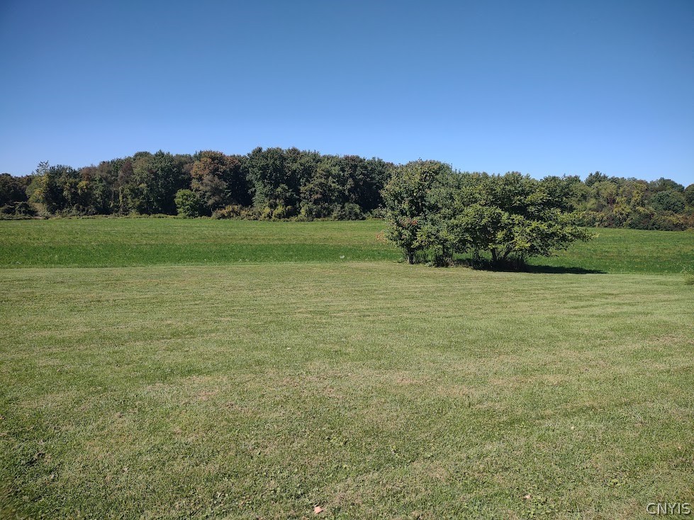 1495 Pompey Center Road Fabius, NY 13063 - Photo 32 of 33 Lots of land