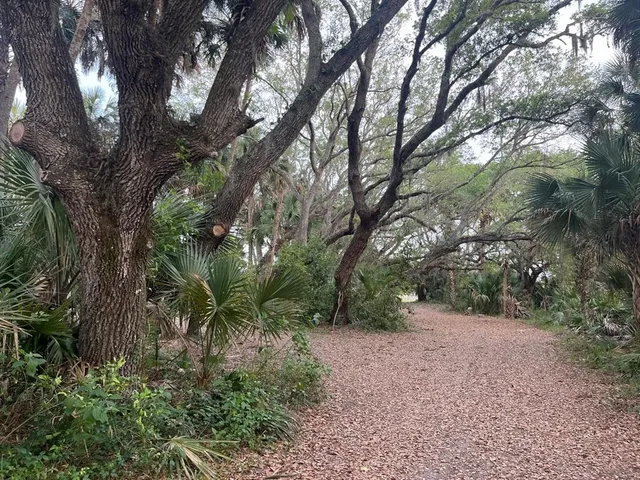 a big yard with lots of green space and trees