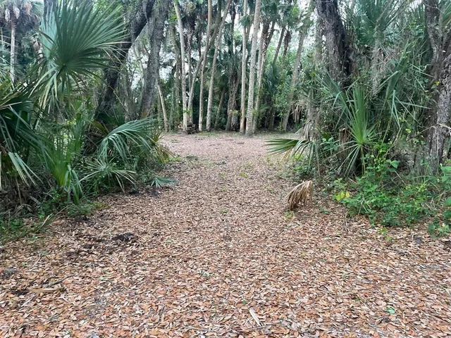 a view of backyard with green space