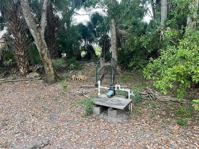 a view of a backyard with plants and a patio