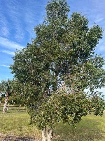 $355,000 | 15148 Northwest 288th Street, Okeechobee, FL 34972