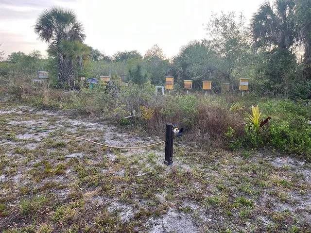 a view of a outdoor space