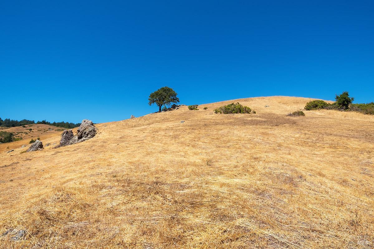 0 West Nicasio Road Forest Knolls, CA 94933 - Photo 16 of 36