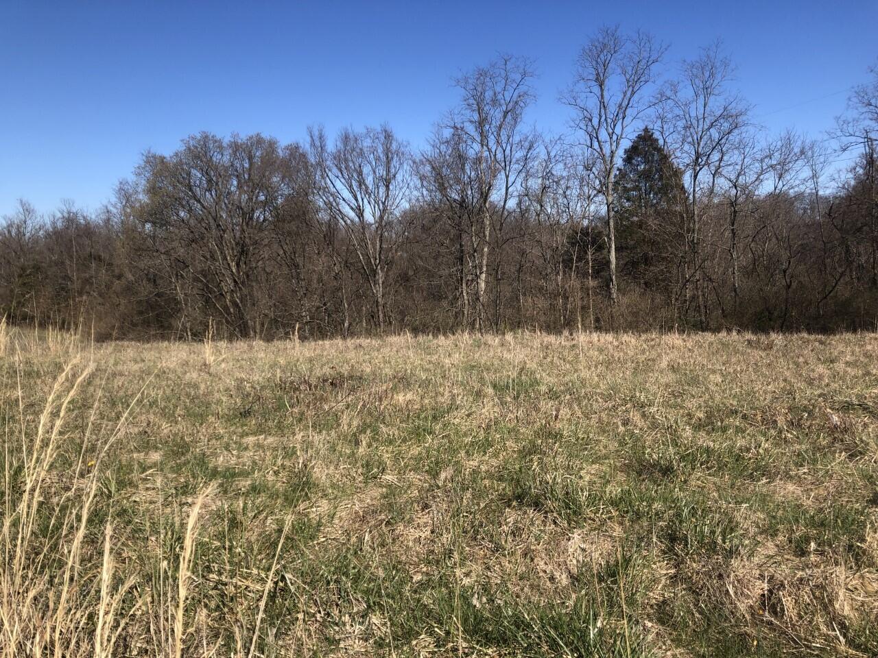 12264 Klein Road Morning View, KY 41063 - Photo 3 of 6