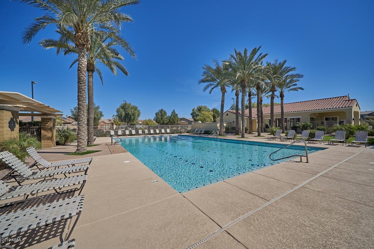 2034 South Martingale Road Gilbert, AZ 85295 - Photo 38 of 48 Lyons Gate-Pool2