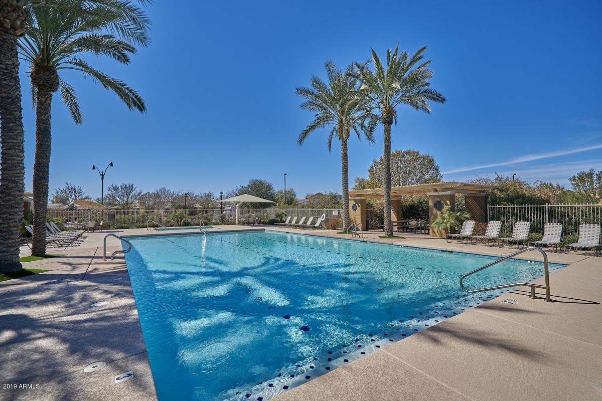 2034 South Martingale Road Gilbert, AZ 85295 - Photo 47 of 48 Lyons Gate-Pool