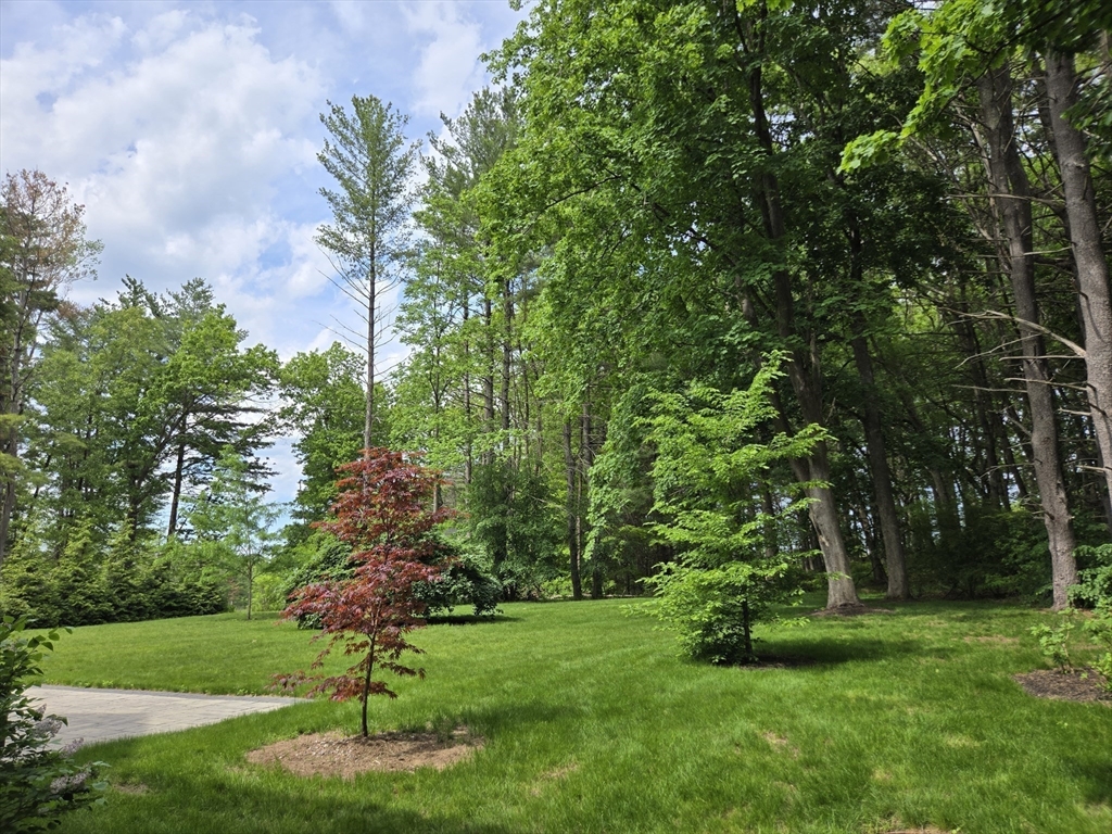 135 Williams Road Concord, MA 01742 - Photo 4 of 26