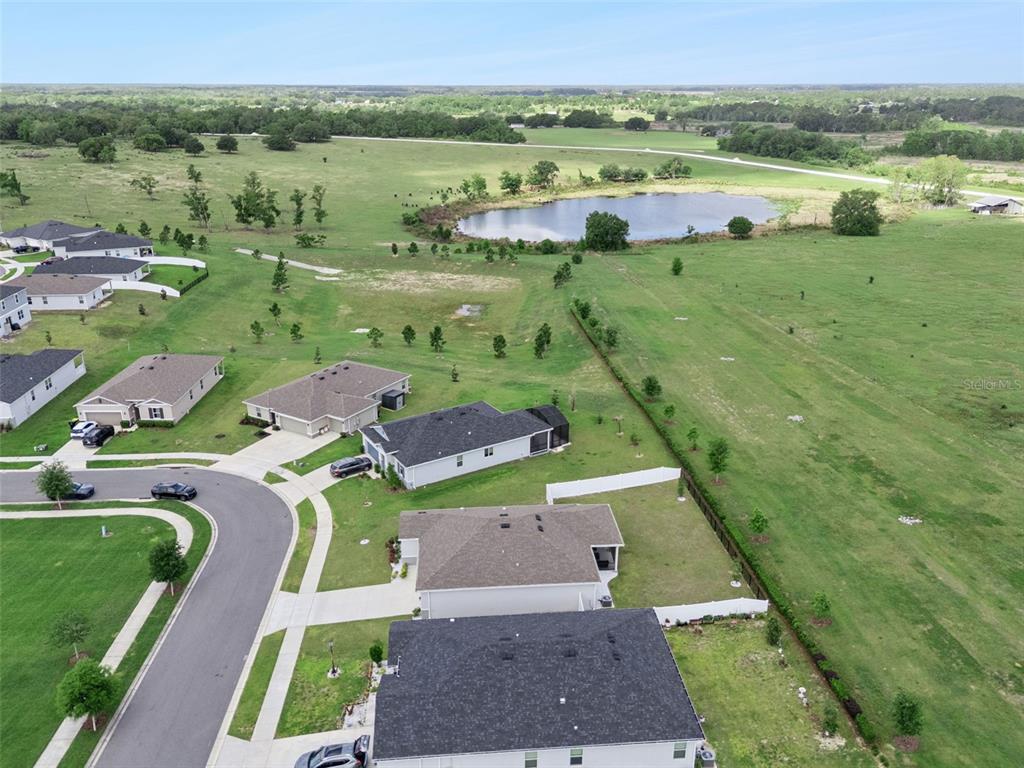 1682 Littleleaf Boxwood Loop Mascotte, FL 34753 - Photo 59 of 59