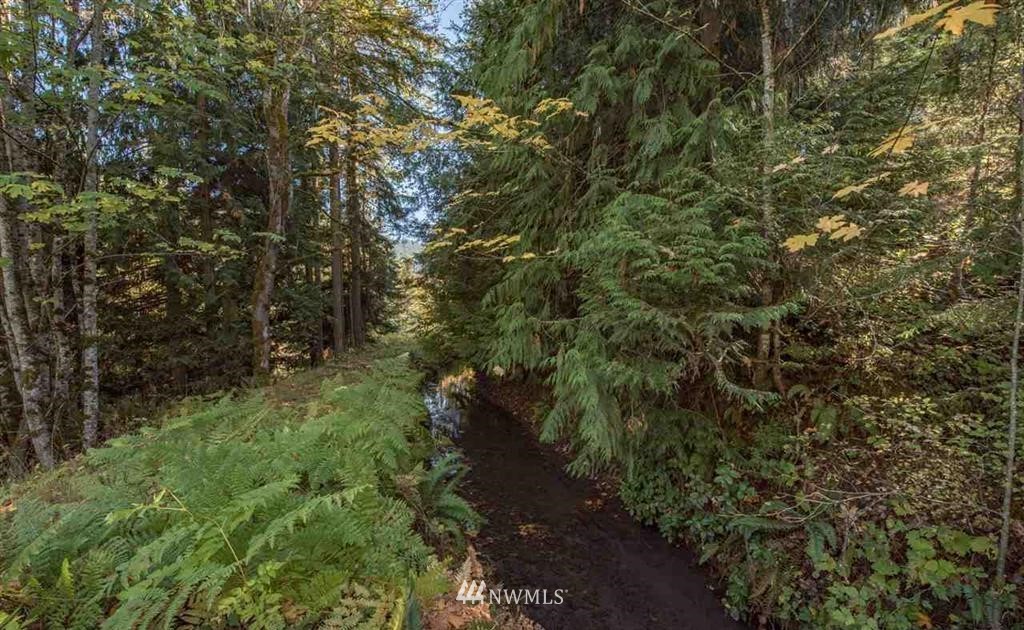 0 Fish Hatchery Road Sequim, WA 98382 - Photo 21 of 23