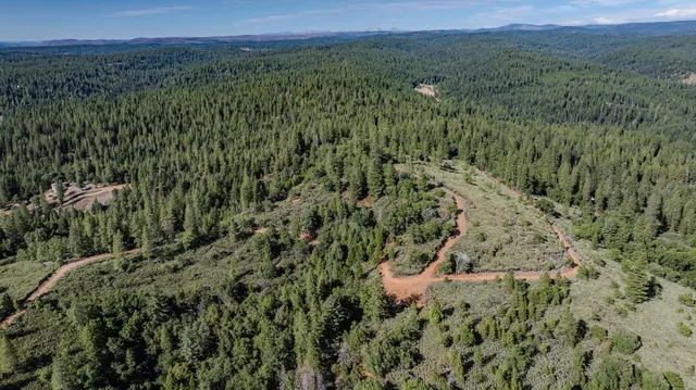a view of a lush green outdoor space with a lake view