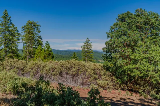 a view of a lake with a city