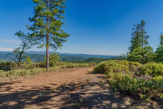 a view of a house in a forest