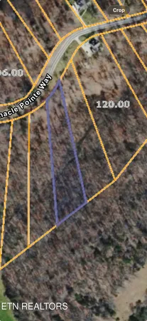 $14,000 | Lot 79 Pinnacle Pointe Way, Sharps Chapel, TN 37866