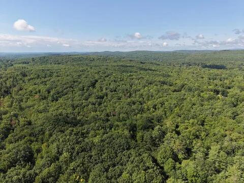 Lot 7 Line Road Greene, ME 04236 - Photo 4 of 16 796249777_1087620847075047_6018729381345